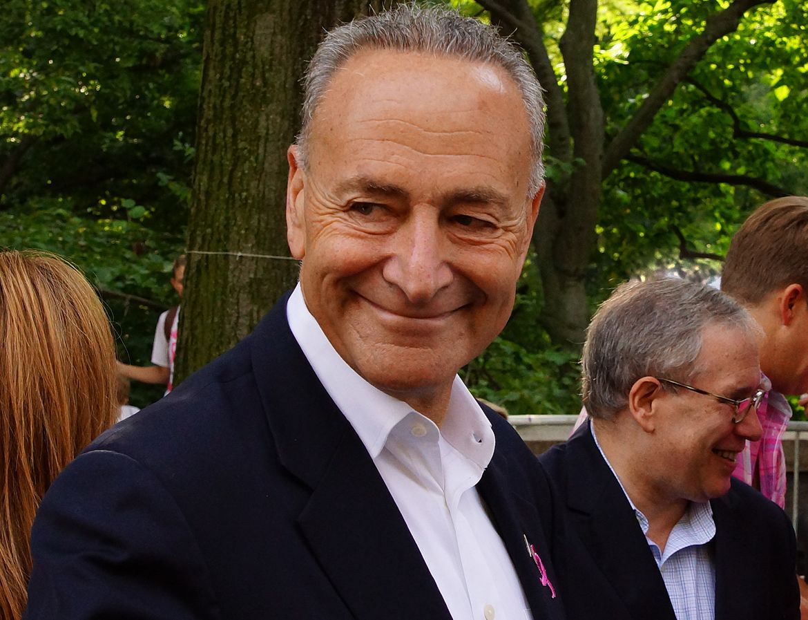 Fact check Has Chuck Schumer ever held a job in the private sector